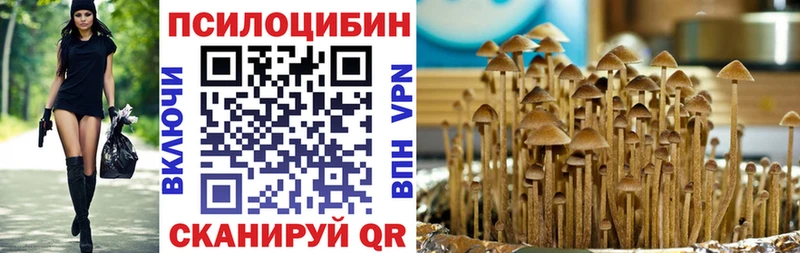Галлюциногенные грибы GOLDEN TEACHER  наркотики  Кувандык 